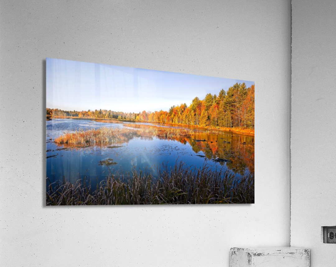 Autumn Reflections Acrylic Print