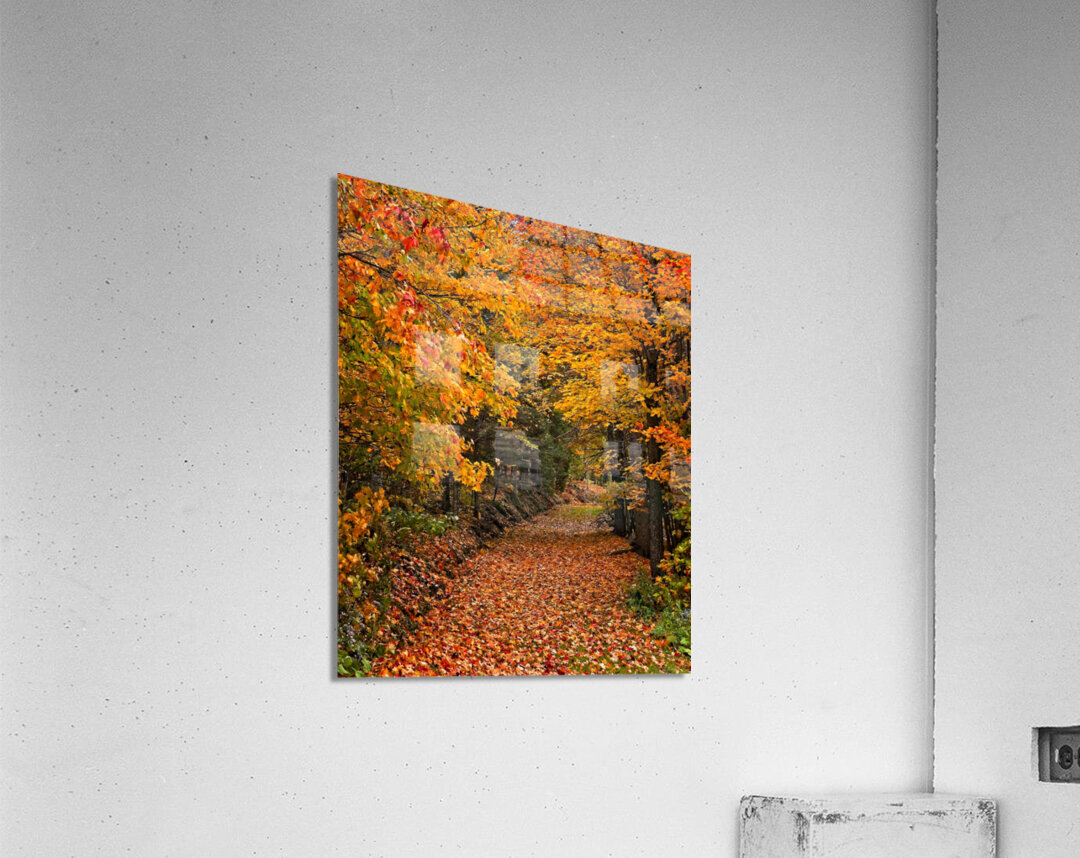 Pathway to Autumn Acrylic Print