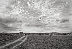 Light Over Quiet Lands