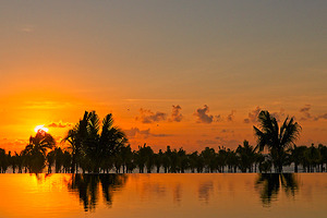 Golden Reflections at Sunset