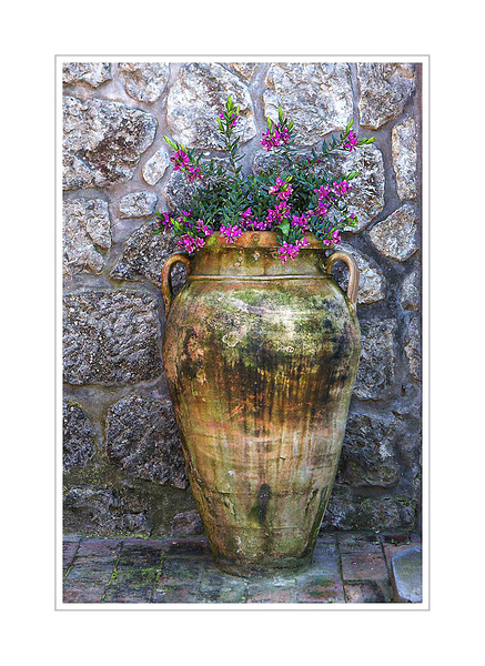 Rustic Garden Vase Print