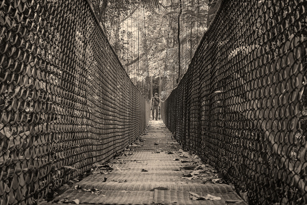 The Path Forward Print