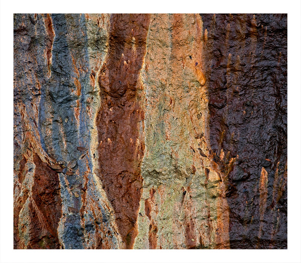 Earth’s Palette Print