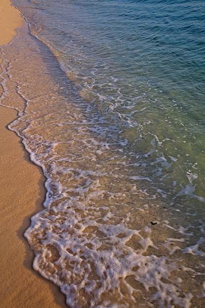 Shoreline Serenity Print