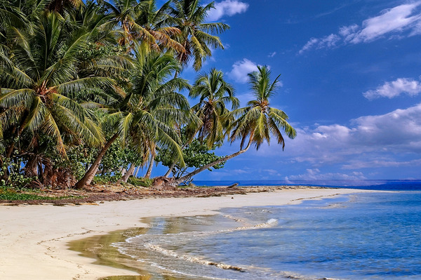 Tropical Shoreline Paradise Print