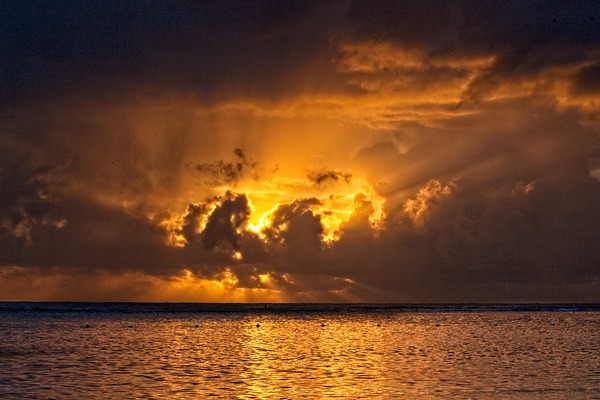 Golden Tempest Print