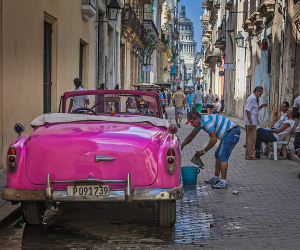 Washing the Pink Convertible Print