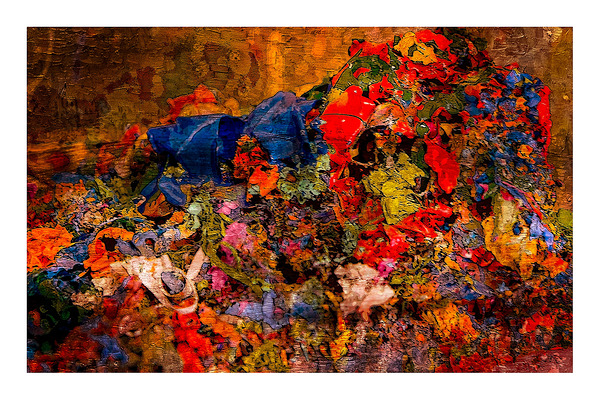 Festival of Color Print