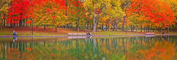 Autumn Park by the Water Print