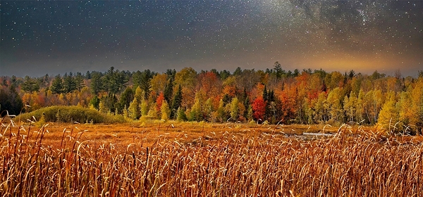 Starlit Harvest Night Print