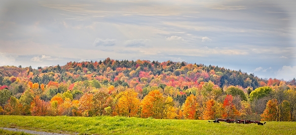  Autumn’s Quiet Meadow Print