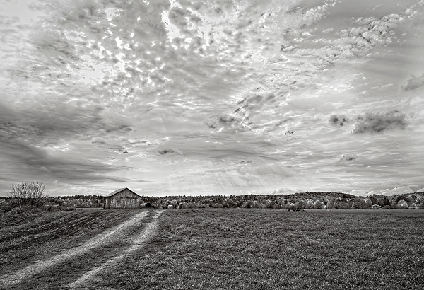 Light Over Quiet Lands Print