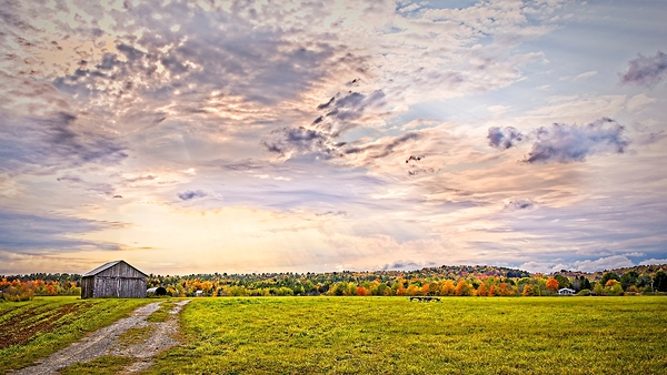 Golden Hour Over the Meadow Print