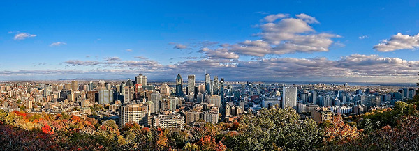 Montreal Skyline from Mount Royal Print