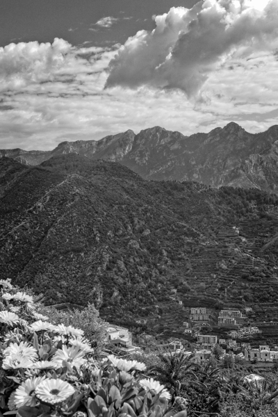 Terrace of Blossoms Print