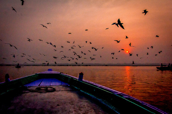 Dawn Flight Over Still Waters Print