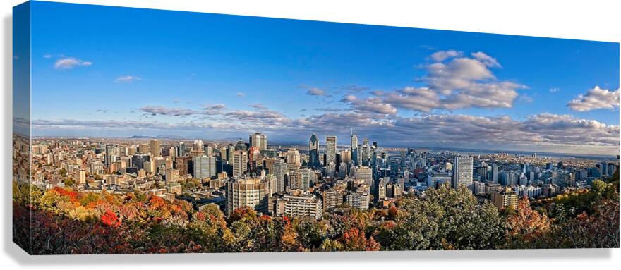Montreal Skyline from Mount Royal Canvas Print