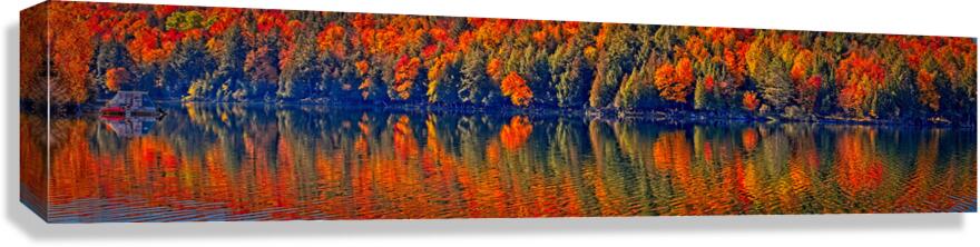 Autumn Forest Reflection Canvas Print