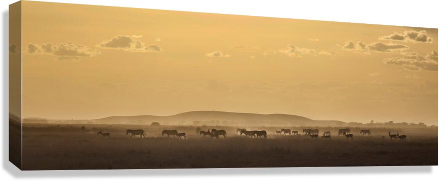African Wildlife at Dusk Canvas Print