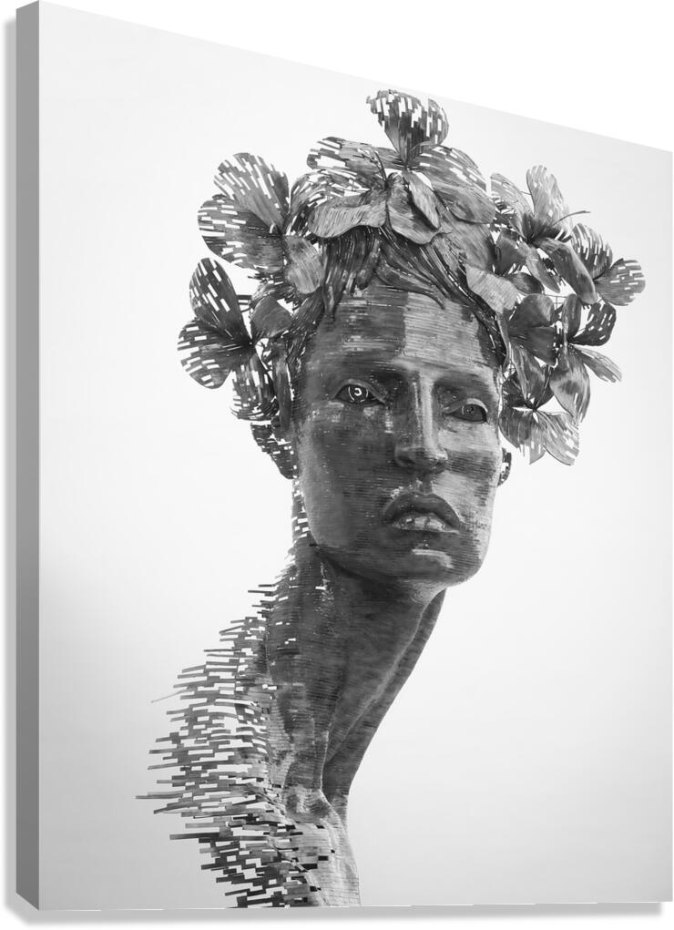 Fragmented Muse Canvas Print