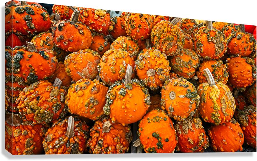 Autumn Harvest Glow Canvas Print