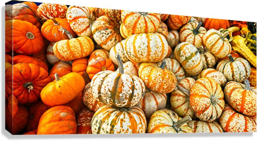 Harvest Harmony Canvas Print
