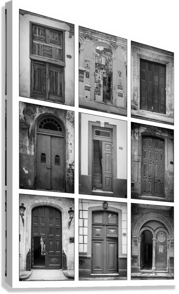 Doors in Black and White Canvas Print