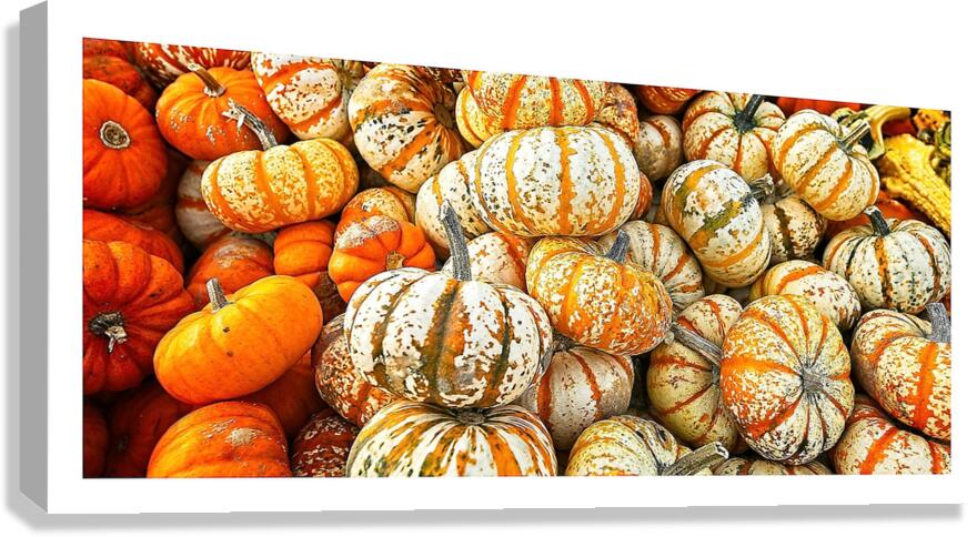 Autumn Harvest Canvas Print