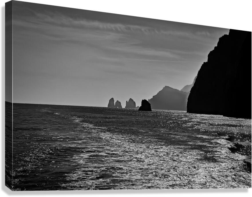 Shimmering Coastline Canvas Print