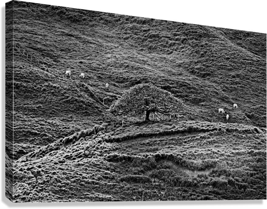 Hills of Time Canvas Print