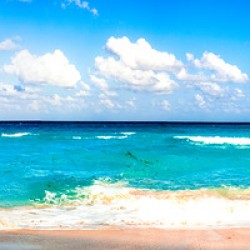 Turquoise Ocean Paradise