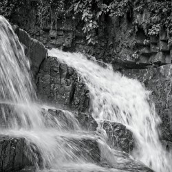 Whispers of the Falls