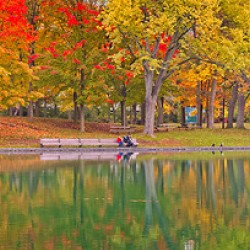Autumn Park by the Water