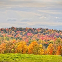  Autumn’s Quiet Meadow