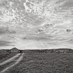 Light Over Quiet Lands