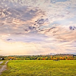 Golden Hour Over the Meadow