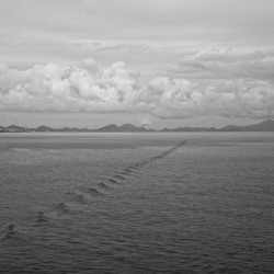 The Journey’s Wake