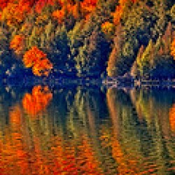 Autumn Forest Reflection