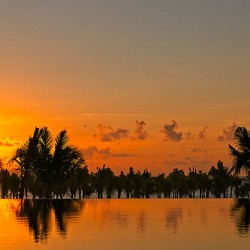Golden Reflections at Sunset