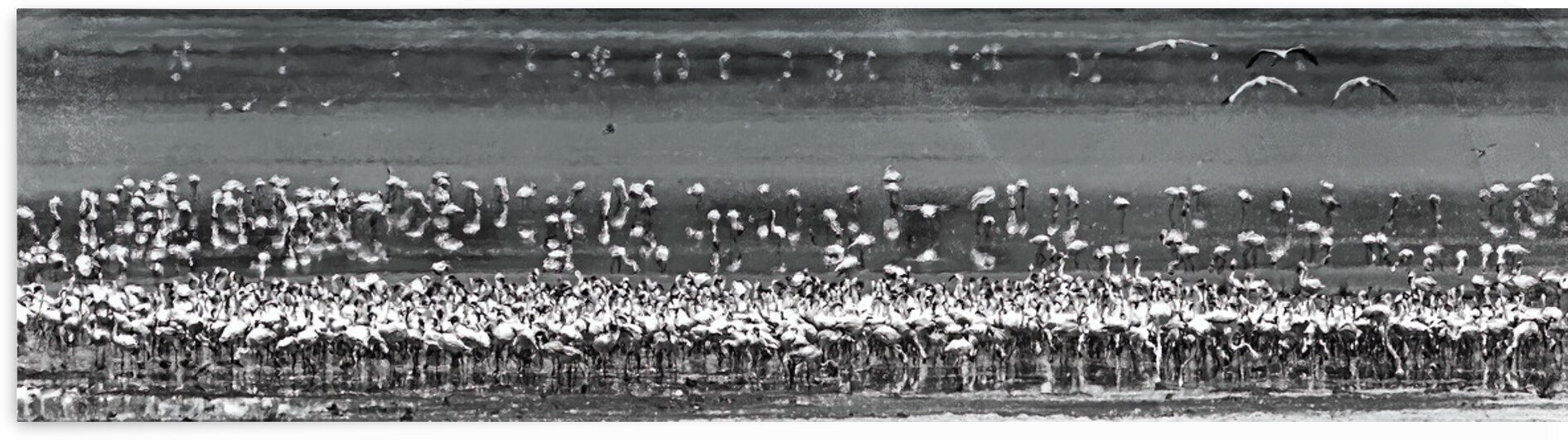 Flame of the Canopy by Chirag Pandya