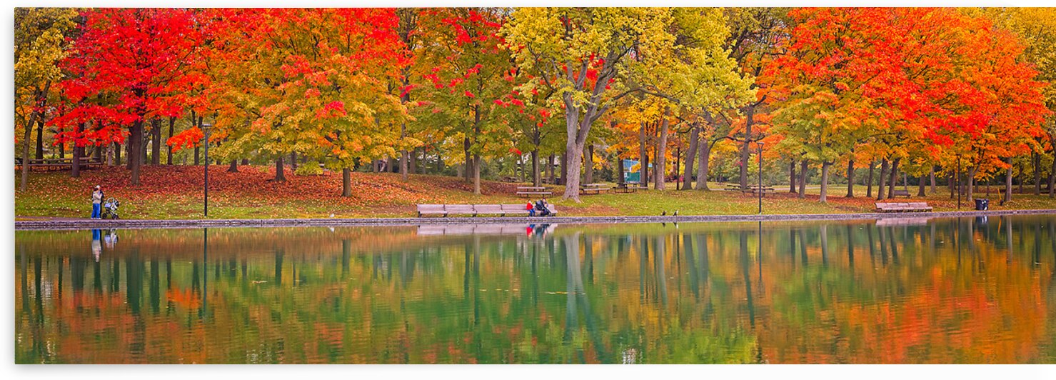 Autumn Park by the Water by Chirag Pandya