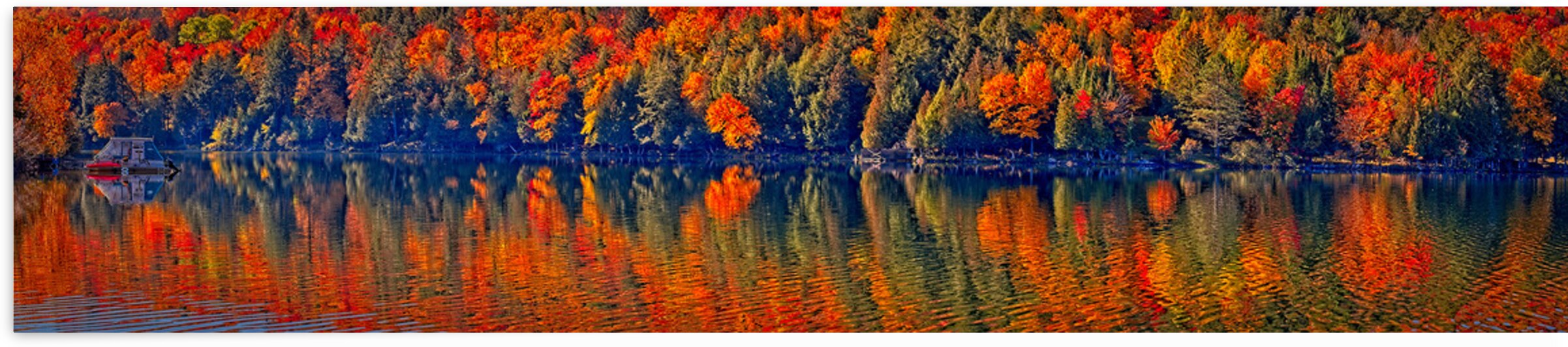 Autumn Forest Reflection by Chirag Pandya
