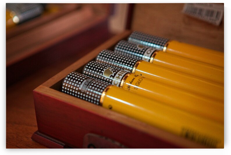 Cohiba Elegance by Chirag Pandya