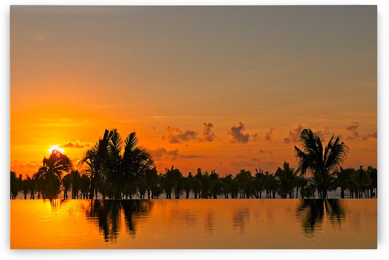 Golden Reflections at Sunset by Chirag Pandya