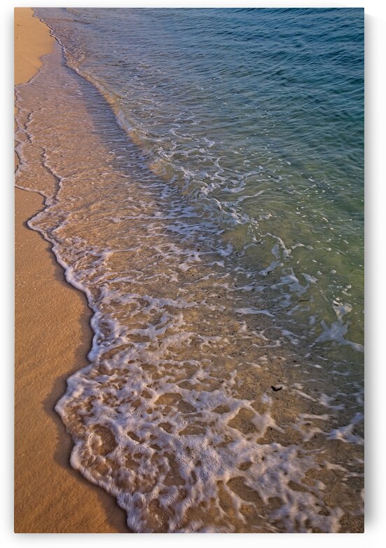 Shoreline Serenity by Chirag Pandya