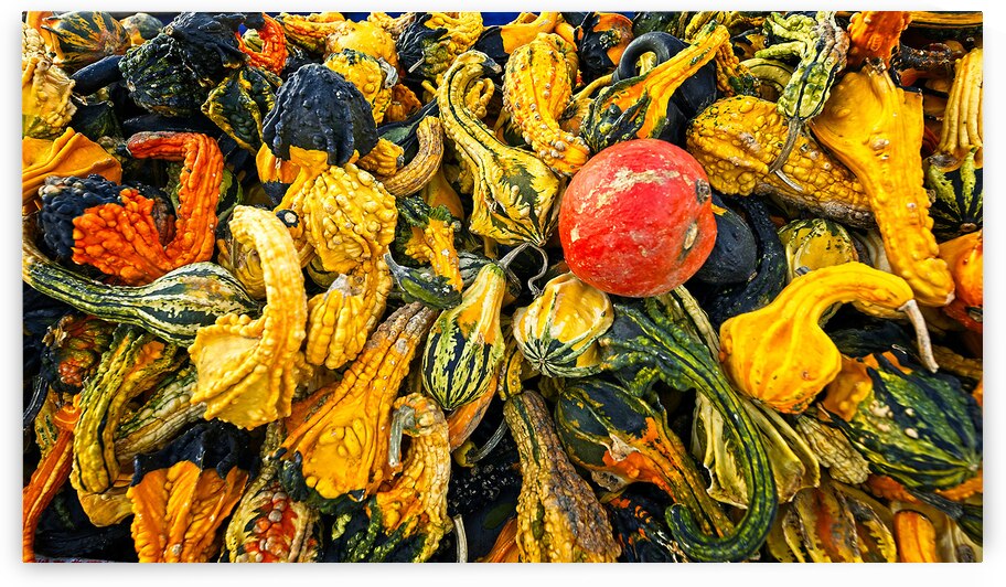 Harvest Chaos by Chirag Pandya