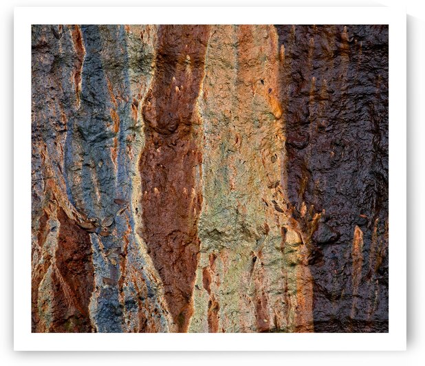 Earth’s Palette by Chirag Pandya