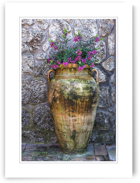 Rustic Garden Vase by Chirag Pandya