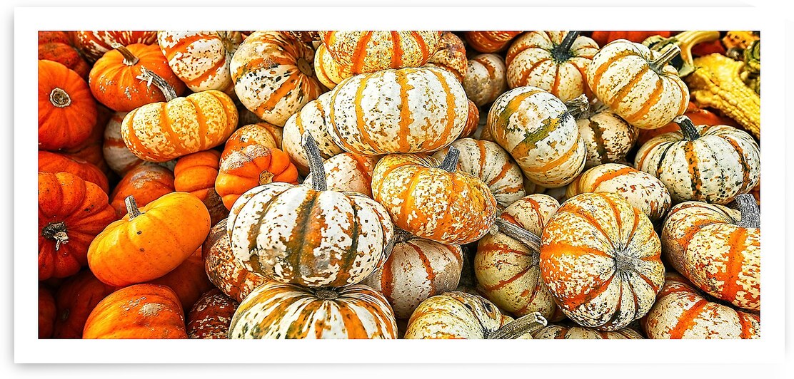 Autumn Harvest by Chirag Pandya