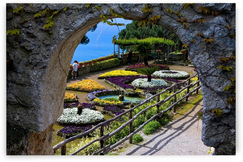 Garden of Colors by Chirag Pandya